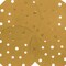 100 Grit - 6" Gold Sanding Discs - 17-Hole Pattern Hook and Loop for DA Sander - Box of 50